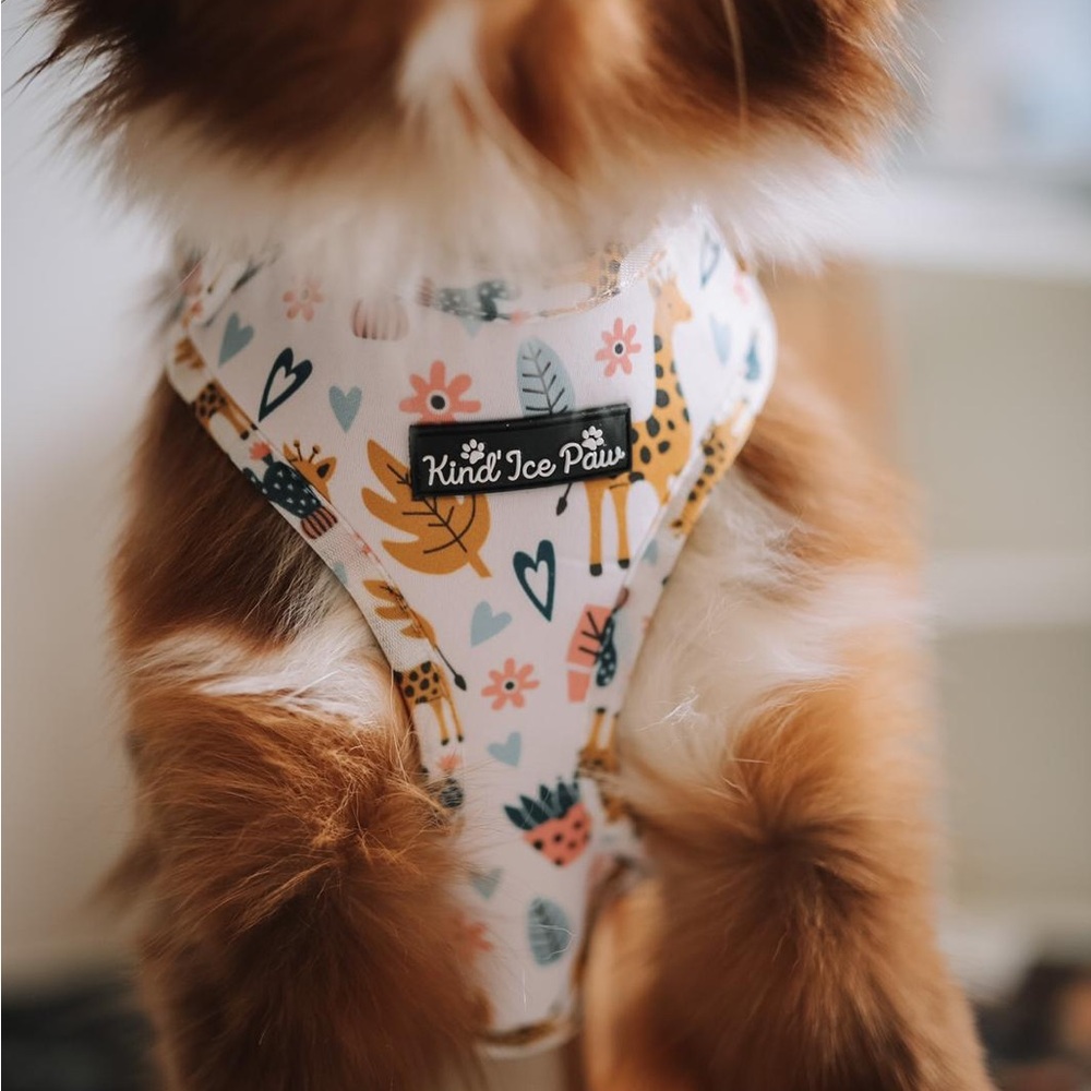 Brand New - Jungle Safari Pup Dog Harness - Picture 2 of 10